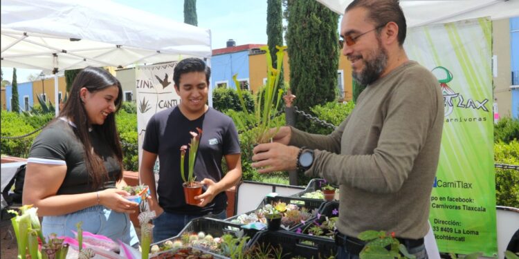 Inaugura CICB-UATx su “Segundo Festival de las Suculentas en Tlaxcala”
