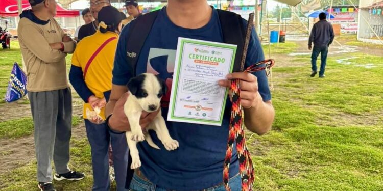 Con la finalidad de fomentar el cuidado y la tenencia responsable de animales de compañía, el Gobierno Municipal de Huamantla, a través de la Coordinación de Agricultura, Ganadería y Bienestar Animal, en colaboración con la Clínica Biofílica, realizó el día de ayer una emotiva jornada de adopción en el Centro Expositor Ganadero.