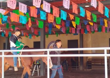 Niñas y niños del SMDIF Huamantla participan en su sesión semanal de equinoterapia