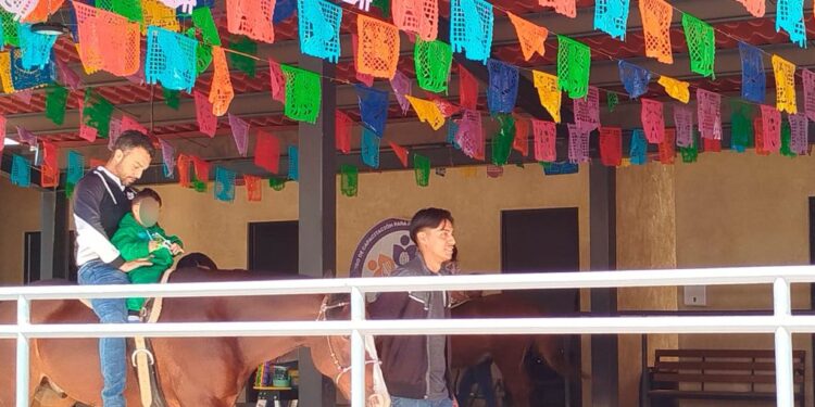 Niñas y niños del SMDIF Huamantla participan en su sesión semanal de equinoterapia