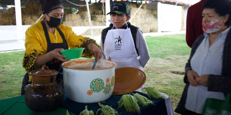 SE REALIZA CON ÉXITO LA CUARTA EDICIÓN DE LA CHILATOLEADA EN HUAMANTLA