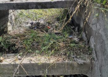 CAPAMH realiza limpieza del canal en Bulevar Cuamanco para prevenir inundaciones