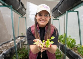 Secretaría de bienestar impulsa seguridad alimentaria con cultivo de hortalizas para 275 familias