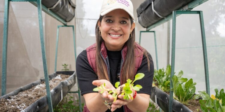 Secretaría de bienestar impulsa seguridad alimentaria con cultivo de hortalizas para 275 familias