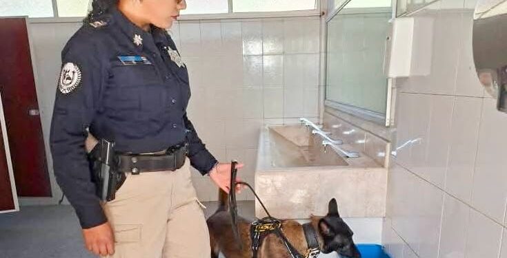 Ayuntamiento de Tlaxcala impulsa campaña de prevención del delito en el CBTIS 03.