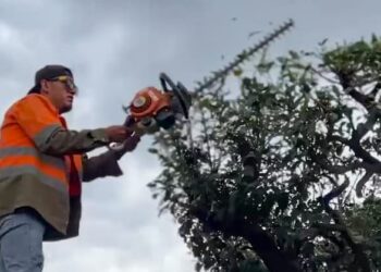 Gobierno de la capital realiza jornada integral de limpieza en cinco sitios destacados para embellecer la ciudad