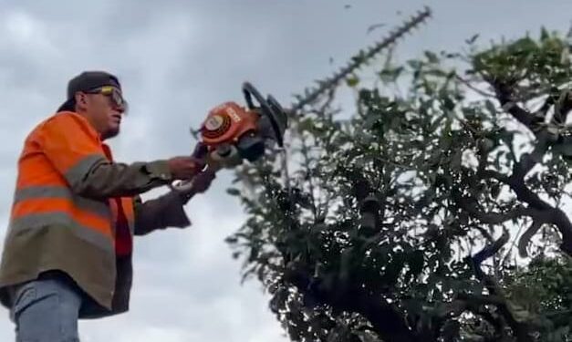 Gobierno de la capital realiza jornada integral de limpieza en cinco sitios destacados para embellecer la ciudad