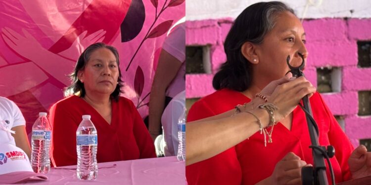 María de la Luz Martínez Briones es el refrejo de lucha contra el cancer de mama.