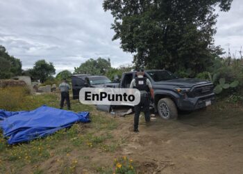 Ubican en Tequexquitla punto donde desmantelaban vehículos robado.