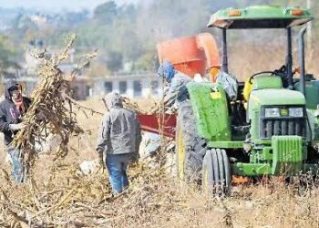 Ha sido un buen año para el campo tlaxcalteca.