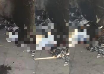 Emiten asociaciones animalistas posicionamiento ante quema de perro en Tlaxcala.