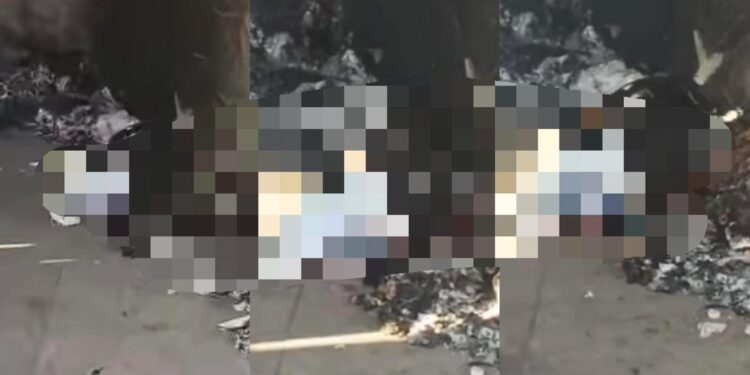 Emiten asociaciones animalistas posicionamiento ante quema de perro en Tlaxcala.